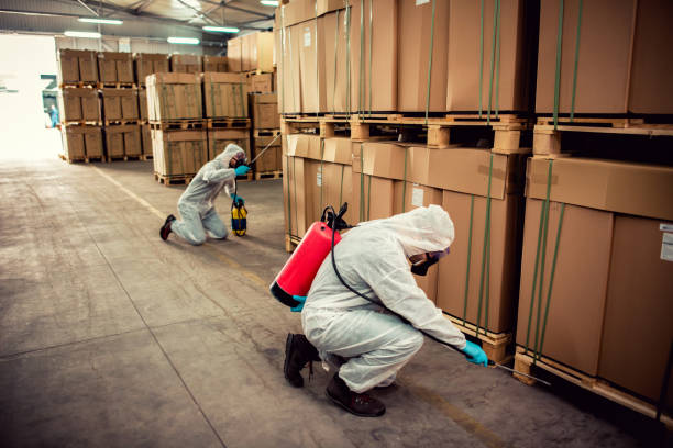 Best Fumigation Services  in Lansdowne, PA